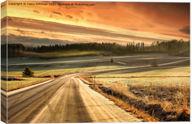 Hazy Rural Road in Winter Golden Hour  Canvas Print by Taina Sohlman