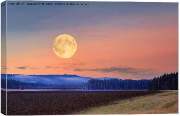 Full Moon on Winter Evening Sky Canvas Print by Taina Sohlman