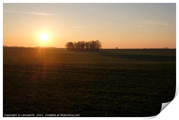 Sunset over a field with trees Print by Lensw0rld 