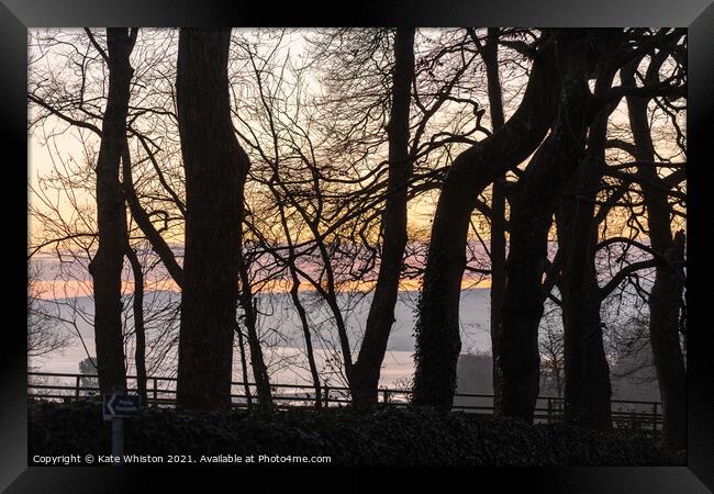Sunrise through the trees Framed Print by Kate Whiston