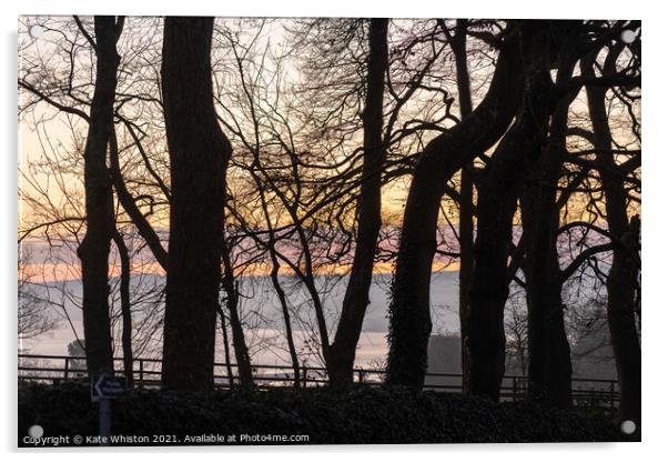 Sunrise through the trees Acrylic by Kate Whiston