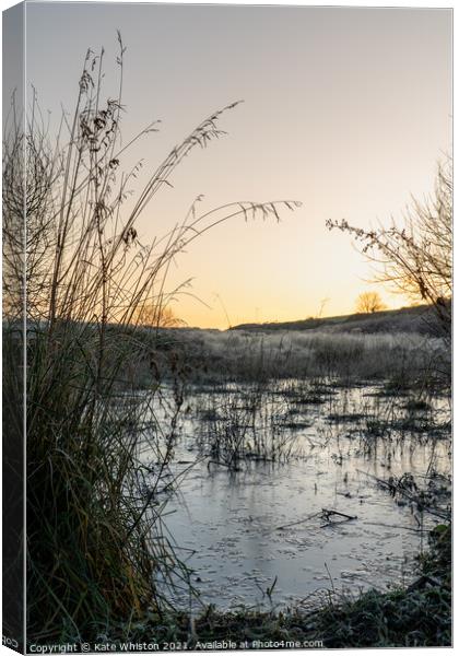 Frosty pond Canvas Print by Kate Whiston