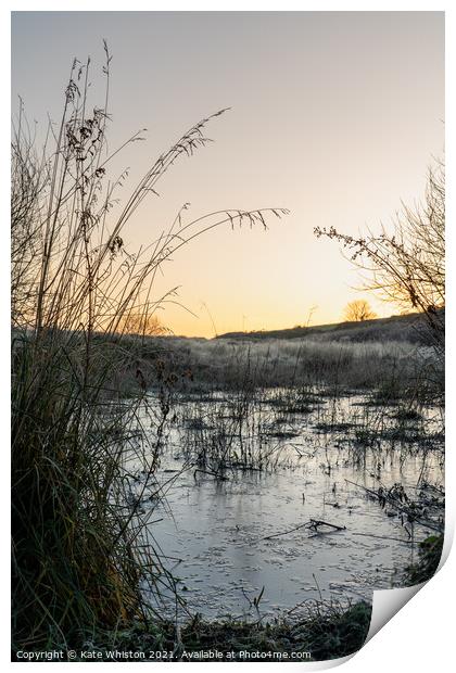 Frosty pond Print by Kate Whiston