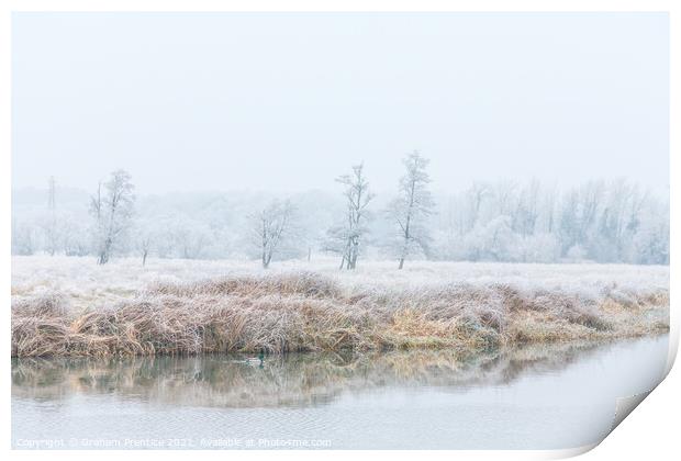 Frosty Morning Print by Graham Prentice