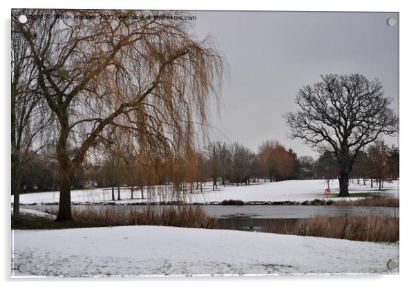 Horton Country Park in Winter Acrylic by Simon Hackett
