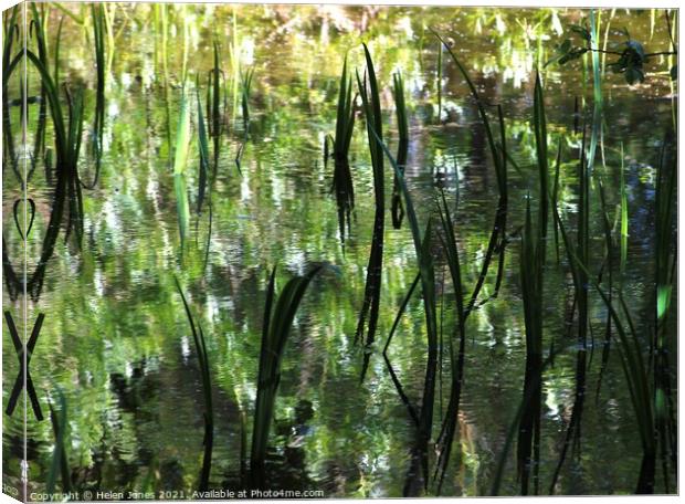 Reflections of foliage upon a wild pond Canvas Print by Helen Jones