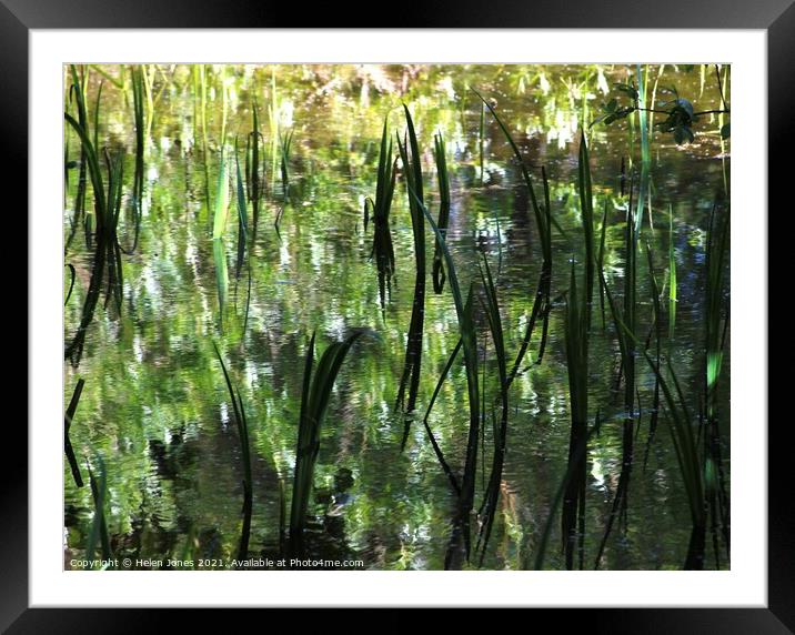 Reflections of foliage upon a wild pond Framed Mounted Print by Helen Jones