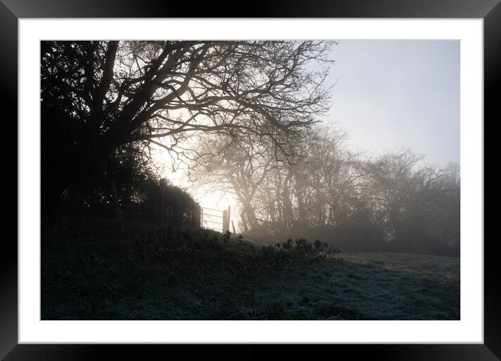 Winters mist Framed Mounted Print by David Wall