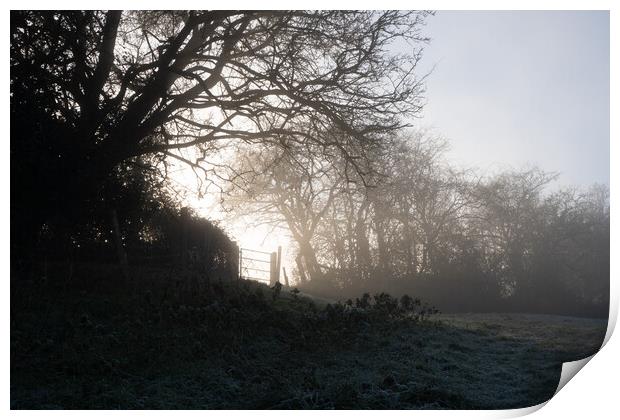 Winters mist Print by David Wall