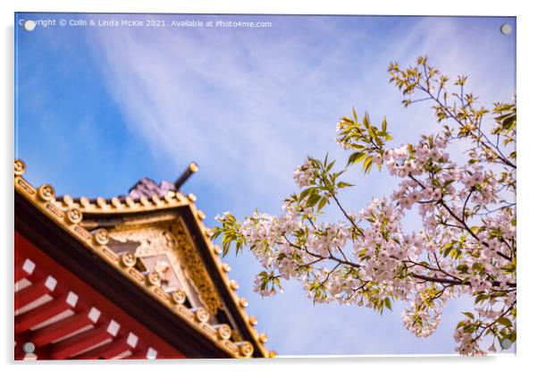 Cherry Blossom and Ornamental Gate, Shiba Park, Tokyo Acrylic by Colin & Linda McKie