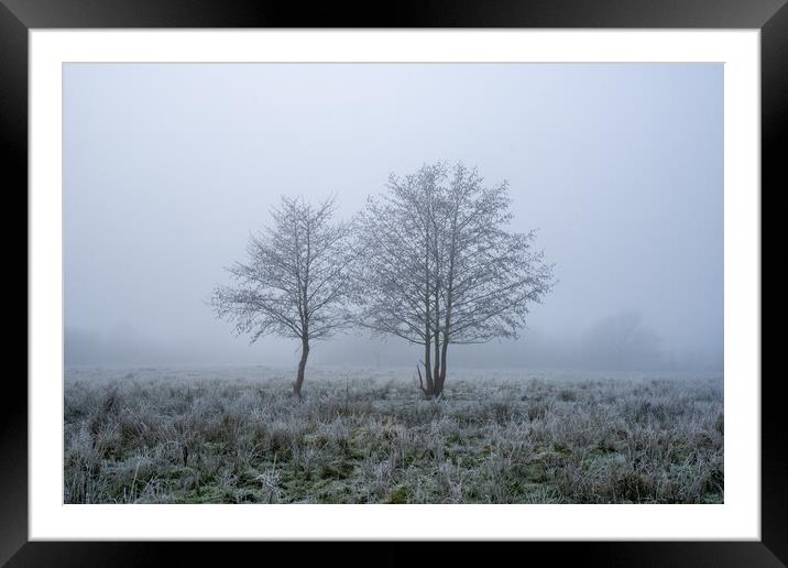 A frosty winters day with two trees, silhouetted against a misty Framed Mounted Print by David Wall