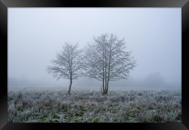 A frosty winters day with two trees, silhouetted against a misty Framed Print by David Wall