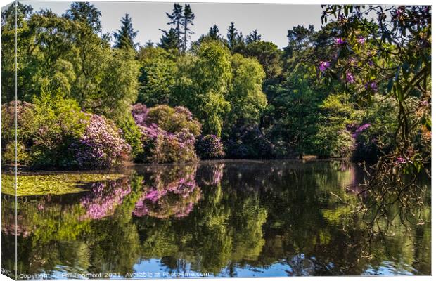 Reflections in a Wirral park  Canvas Print by Phil Longfoot