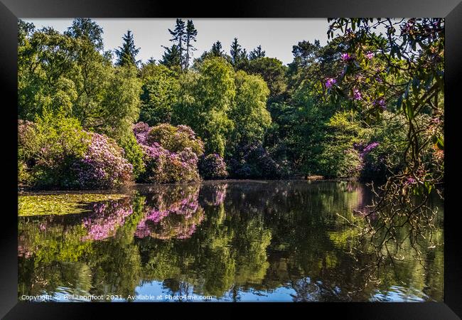 Reflections in a Wirral park  Framed Print by Phil Longfoot