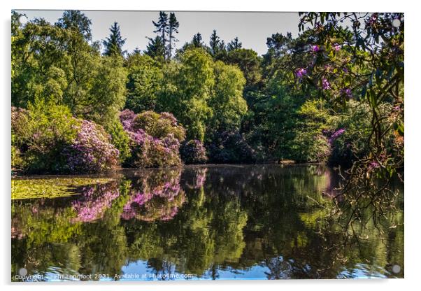 Reflections in a Wirral park  Acrylic by Phil Longfoot