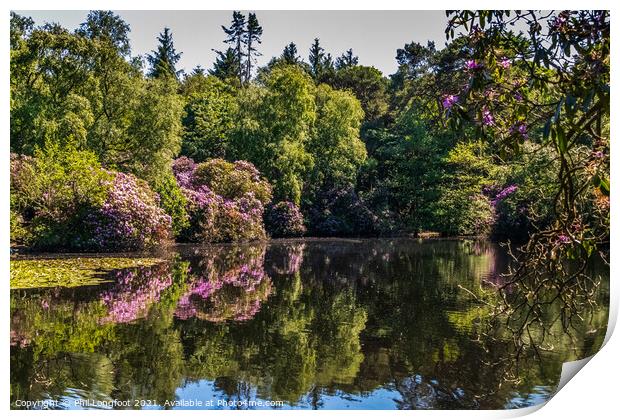 Reflections in a Wirral park  Print by Phil Longfoot