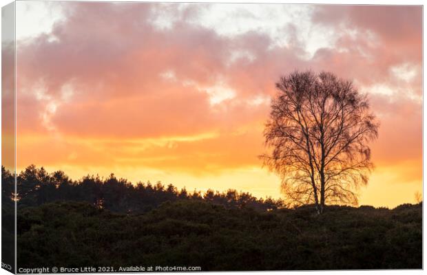 East Devon Sunset Canvas Print by Bruce Little