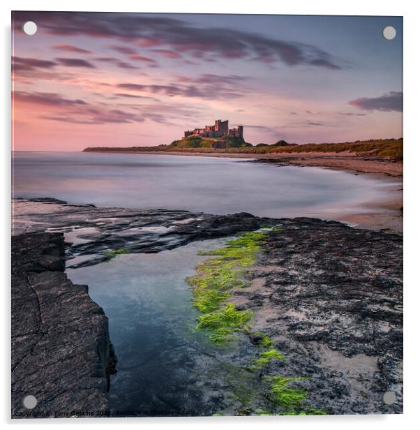 Dawn Light, Bamburgh Castle, Northumberland  Acrylic by Tony Gaskins