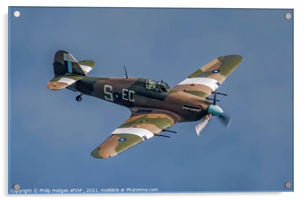Hawker Hurricane PZ865 (1) Acrylic by Philip Hodges aFIAP ,