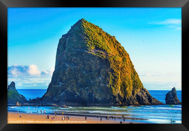 Colorful Sea Birds Haystack Rock Canon Beach Oregon Framed Print by William Perry