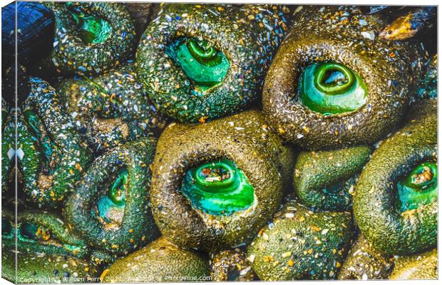 Colorful Green Anemones Low Tide Pools Canon Beach Oregon Canvas Print by William Perry