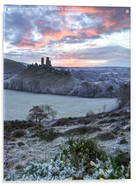 Fire and Ice at Corfe Castle  Acrylic by Shaun Jacobs