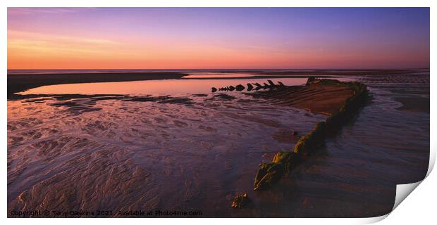 Remains of Sea Defenses, Sutton-on-Sea, Lincolnshire Print by Tony Gaskins