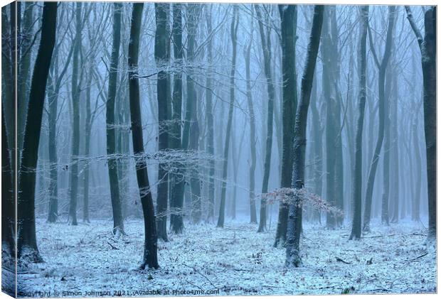 Winter wood, snow and fog Canvas Print by Simon Johnson