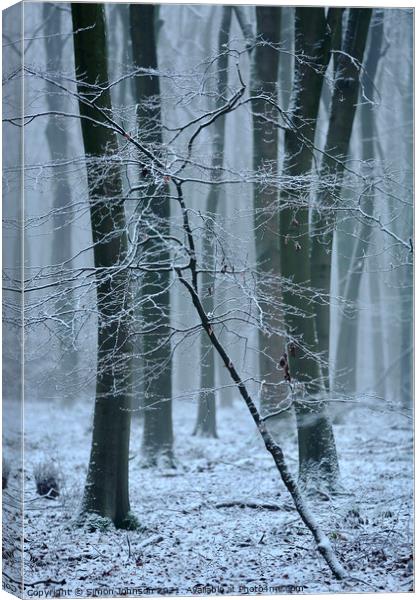 Frozen woodland  Canvas Print by Simon Johnson