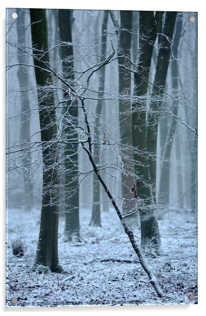 Frozen woodland  Acrylic by Simon Johnson