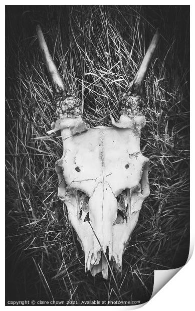 Deer Skull Print by claire chown