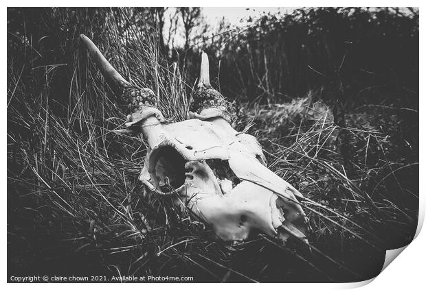 Deer Skull II Print by claire chown