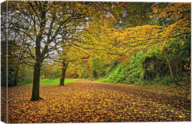 Yeovil Country Park Walk Canvas Print by Darren Galpin