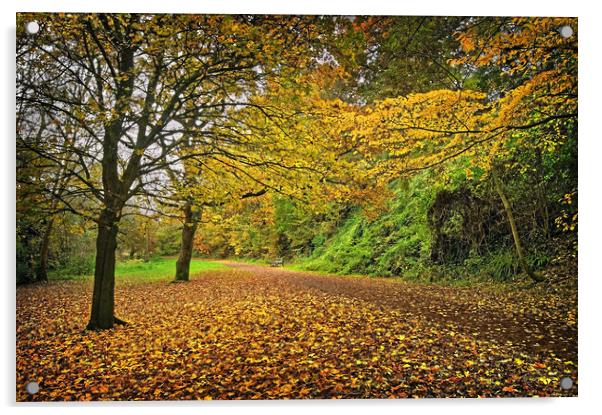 Yeovil Country Park Walk Acrylic by Darren Galpin