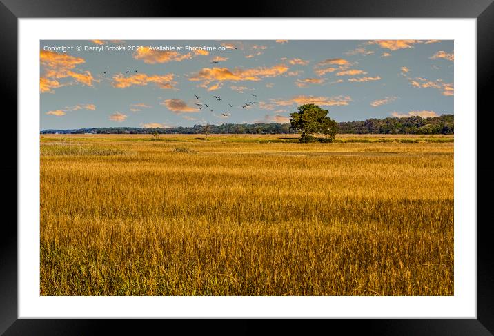 Tree in Marshland Framed Mounted Print by Darryl Brooks