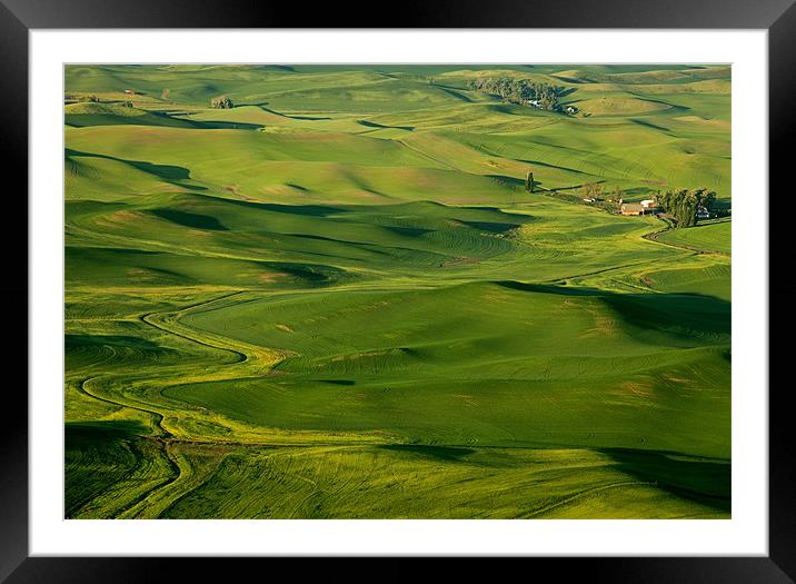Palouse Spring Framed Mounted Print by Mike Dawson