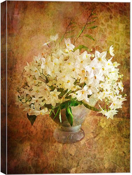 Jasmine . Canvas Print by Irene Burdell