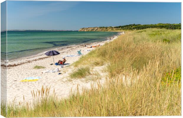  Ristinge beach Canvas Print by peter schickert