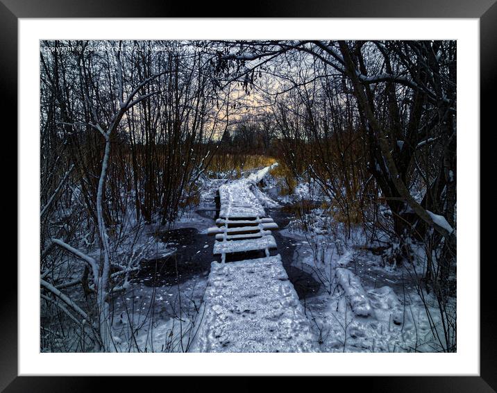 An Icy Winter's Path. Framed Mounted Print by Gary Barratt