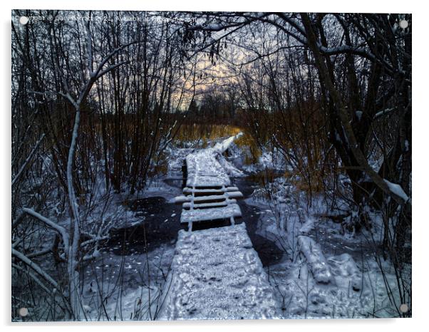 An Icy Winter's Path. Acrylic by Gary Barratt