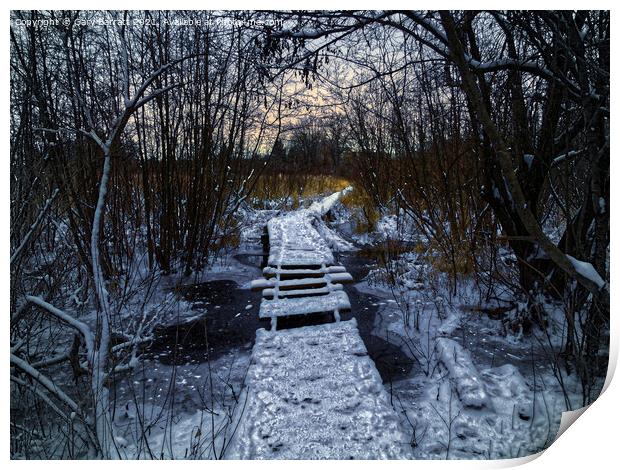 An Icy Winter's Path. Print by Gary Barratt