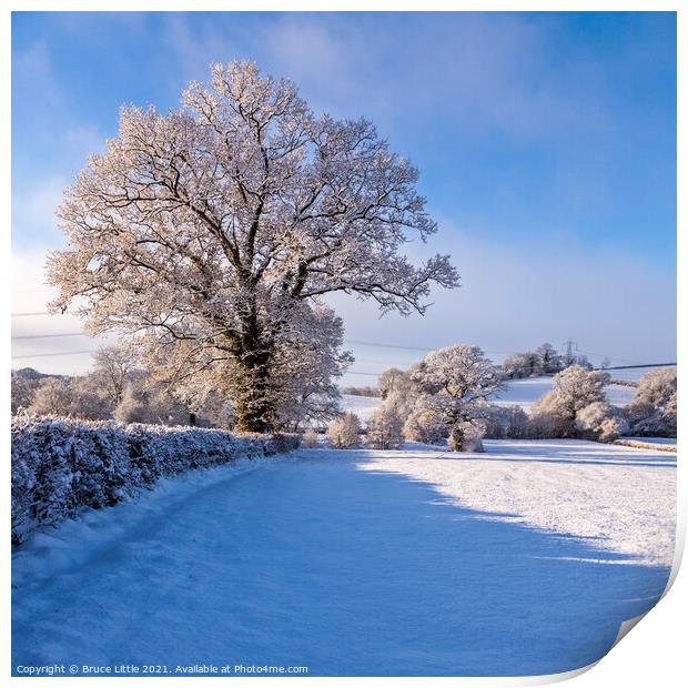 East Devon Snowy Scene Print by Bruce Little