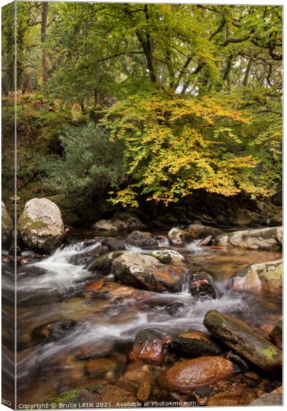 Serene Autumnal River in Dewerstone Woods Canvas Print by Bruce Little