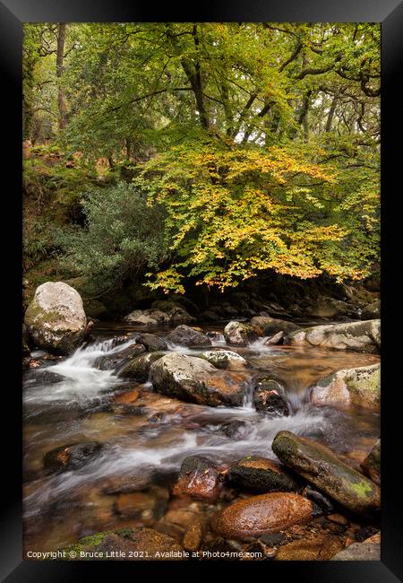 Serene Autumnal River in Dewerstone Woods Framed Print by Bruce Little