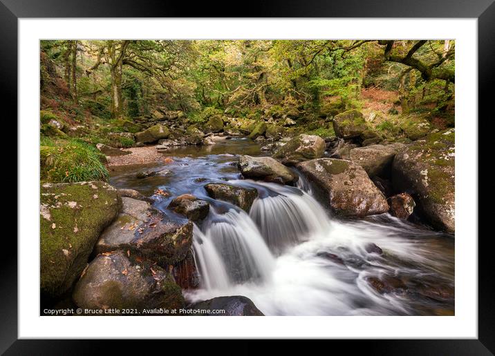 Falls on the Plym, Dewerstone Woods Framed Mounted Print by Bruce Little