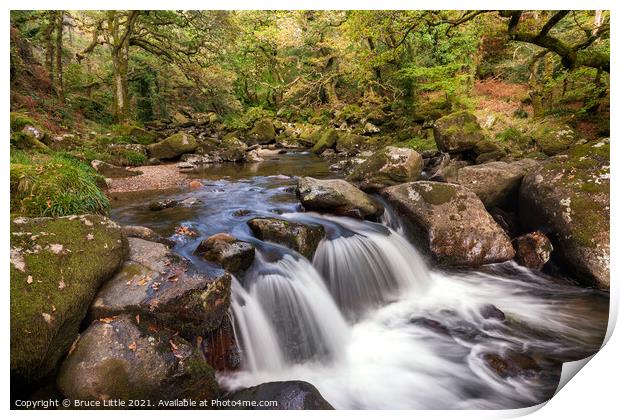 Falls on the Plym, Dewerstone Woods Print by Bruce Little