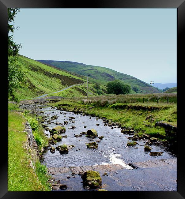 The Meandering River Framed Print by Jacqui Kilcoyne