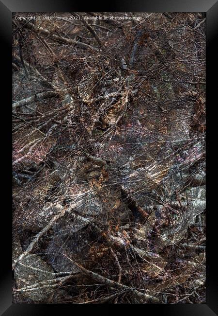 Fantastic woodland Framed Print by Peter Jones