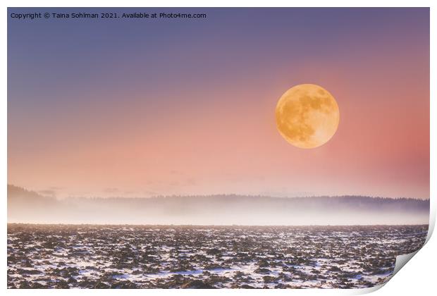 Full Moon over Misty Fields  Print by Taina Sohlman