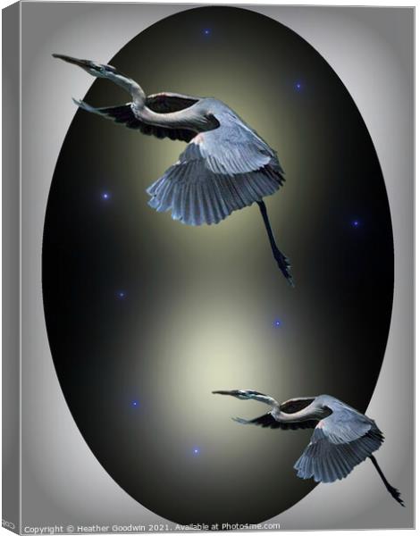 Heron Escape Canvas Print by Heather Goodwin
